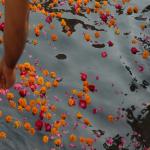 Vraj-Yatra-2014- (1139)